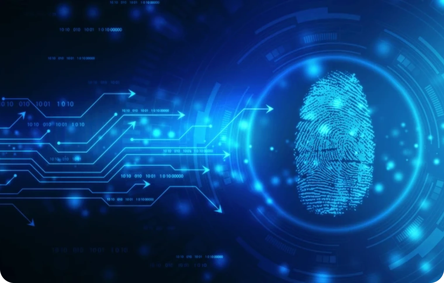 Cyber Laws & Technology